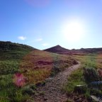 Saskatchewan 2023 Part 3: Grasslands National Park