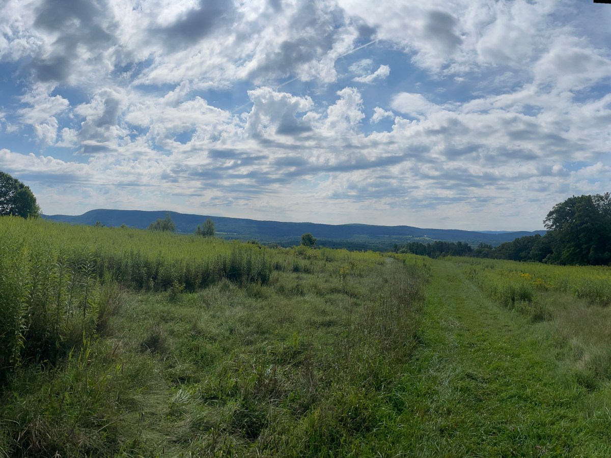 Massachusetts Peakbagging (August 2026, Part 1)