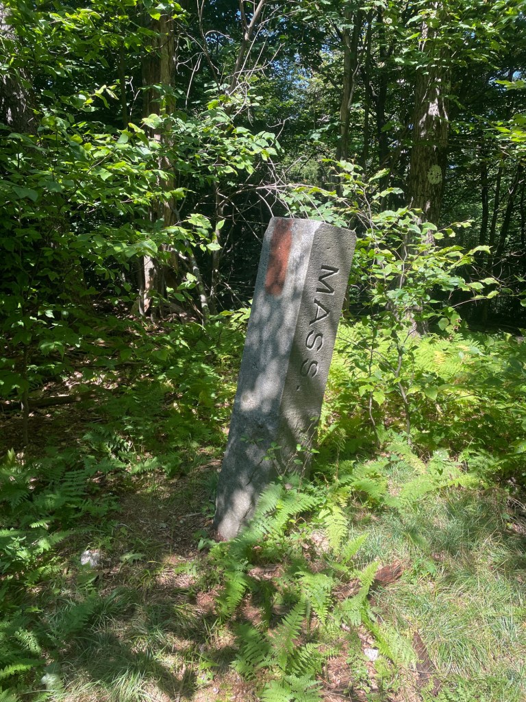 A weathered stone marker with the inscription 'MASS' leaning among lush green ferns and trees in a forested area.