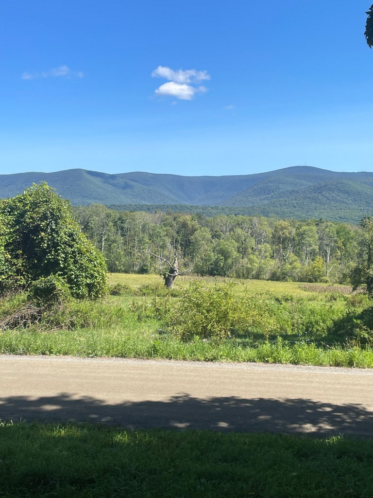 A panoramic view of rolling green hills under a blue sky with a few clouds. In the foreground, there is a dirt road bordered by lush vegetation.